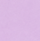 lilac short 