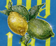 Lemons - Track