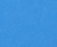 Shorts - Blue