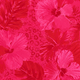 Red floral - top